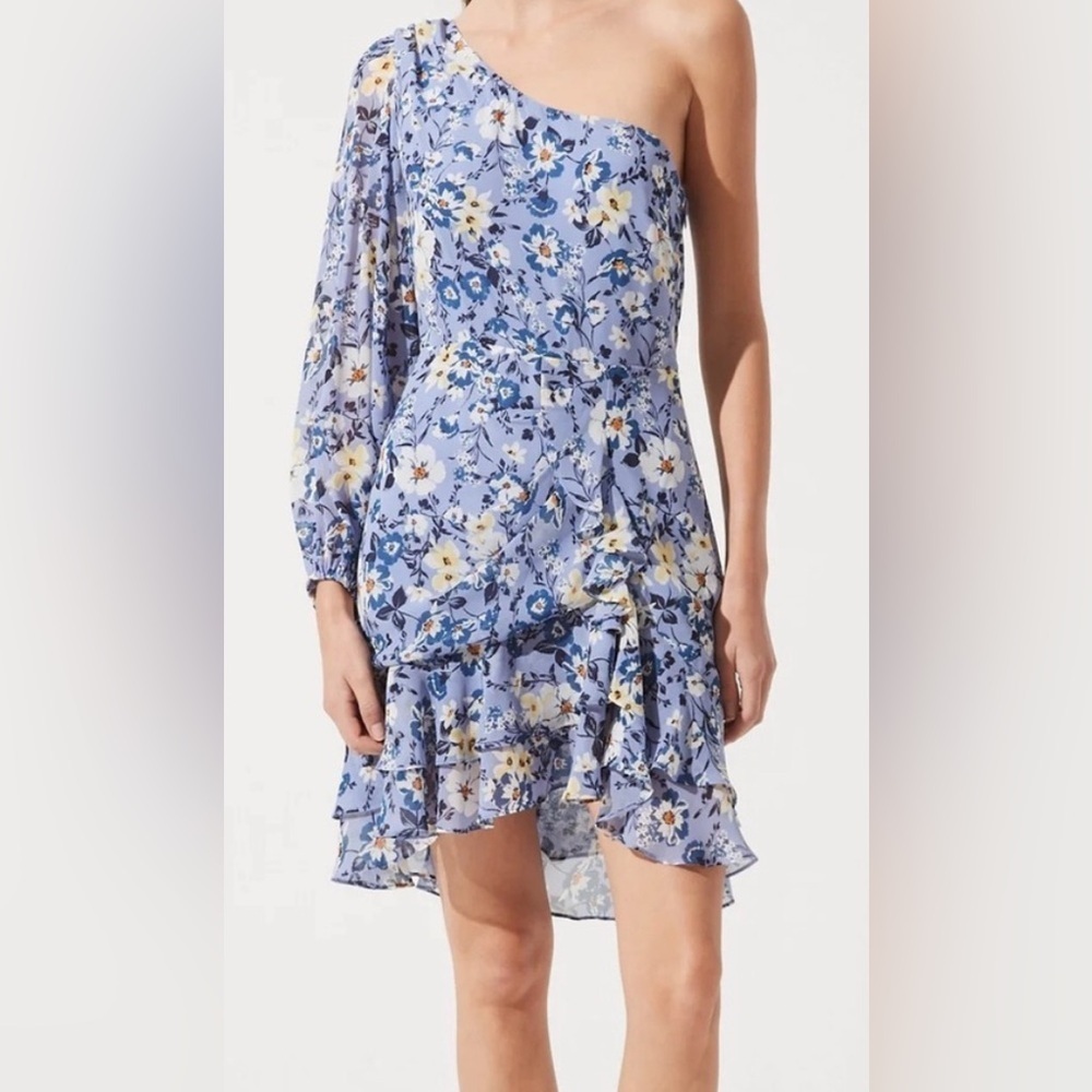 Astr Long Sleeve Floral Dress in Blue and White
